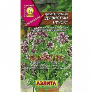 Душица Душистый пучок (Аэлита)