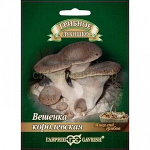 Грибы Вешенка Королевская (Гавр)