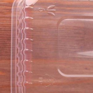 Контейнер «Южуралпак», КР-179, 1000 гр, 17,9x13,2x7 см, цвет прозрачный