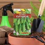Семена Огурец &quot;Кустовой&quot; &quot;Лидер&quot;, 20 шт,