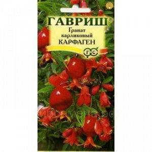 Гранат Карфаген карликовый (Гавр)