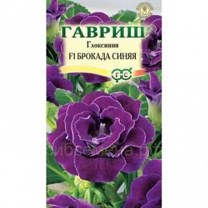Глоксиния Брокада синяя F1 (Гавр)