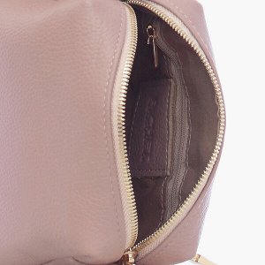 Женская кожаная сумка Richet 2502LG 614 Пудра