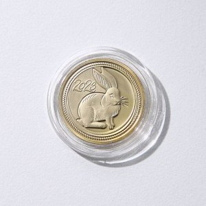 Монета заяц "Удачи в Новом году 2023", диам. 2,2 см