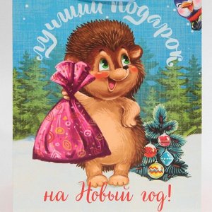Пакет подарочный новогодний ламинированный «Лучший подарок», MS 18 х 23 х 10 см