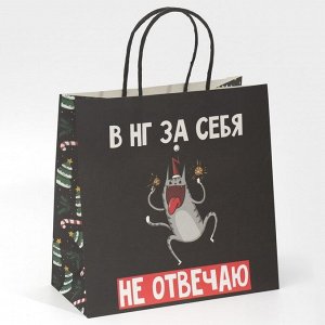 Пакет подарочный «Вообще не отвечаю», 22 ? 22 ? 11 см