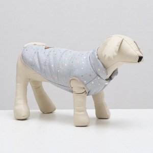 Куртка для собак "Звездный путь", размер S, серая (ДС 26, ОШ 24, ОГ 32 см)