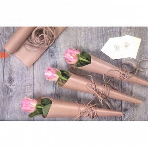 Бумага упаковочная крафт без печати, 70 г/м? , 0,70 х 10 м