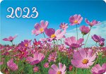 Карманный календарь на 2023 год &quot;Полевые цветы&quot;