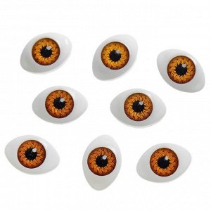 Глаза, набор из 8 шт., размер радужки — 12 мм, цвет карий