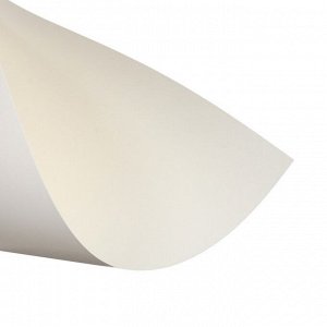 Картон белый А4, 8 листов, двухсторонний, мелованный, блок 230 г/м2, EXTRA белизна