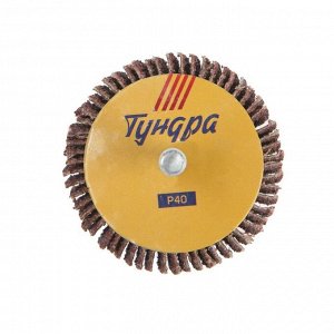 Круг лепестковый радиальный ТУНДРА, 50 х 30 х 6 мм, Р40