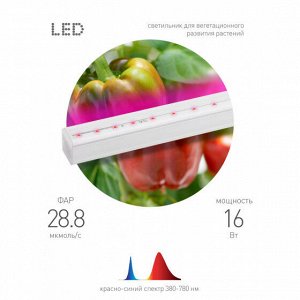 Светильник для растений, фитолампа светодиодная линейная ЭРА FITO-16W-Т5-N красно-синего спектра 16 Вт Т5 Б0045233