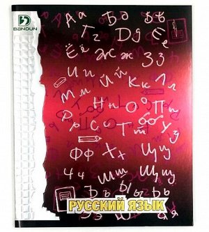 Тетрадь предметная 48 листов Русский язык