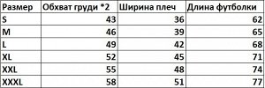 Подростковая футболка, принт "Рico park", цвет голубой