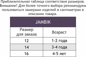 Набор детских носков 12 пар JAMBIK