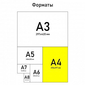 Тетрадь в клетку А4, 80 л., на скрепке, блок №1«Малахит»