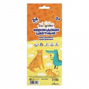 Карандаши цветные 24 цвета Calligrata, заточенные, трёхгранные, пластиковые, картонная упаковка, европодвес