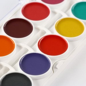 Акварель медовая 24 цвета ArtFox STUDY пластик, без кисти