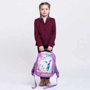 Рюкзак школьный Calligrata "Колибри", 37 х 27 х 16 см, эргономичная спинка, голубой, розовый