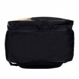 Рюкзак школьный, 37 х 26 х 13 см, эргономичная спинка, Calligrata АН "Авто"