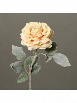 Роза заснеженная 53 см цвет светло-желтый
