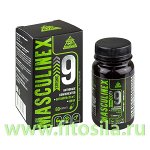 Маскулинекс стронг MASCULINEX STRONG&quot; (для мужчин), ПЭТ банка, капс. 0,45 г №60, БАД &quot;Алтайский нектар&quot;