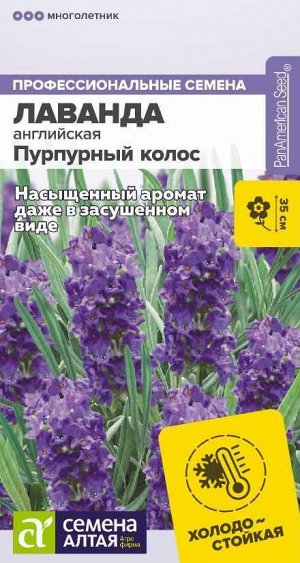 Цветы Лаванда Пурпурный колос английская/Сем Алт/цп 5 шт. многолетник