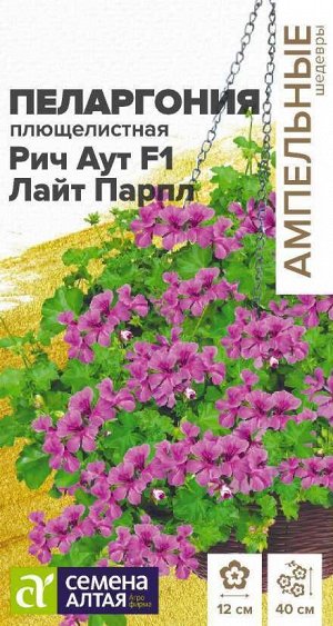 Пеларгония Рич Аут F1 Лайт Парпл плющелистная/Сем Алт/цп 3 шт. Ампельные шедевры НОВИНКА