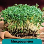 Семена Алтая. Богатый выбор овощных и цветочных семян