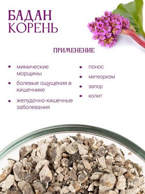 Бадан корень