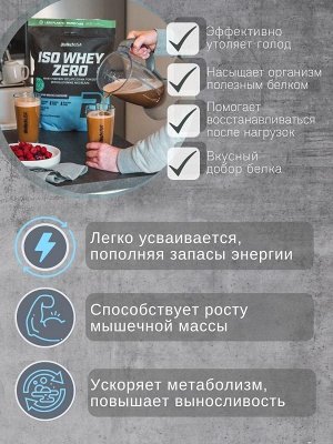 Протеин BioTechUSA Iso Whey Zero Lactose Free - 0,5 кг