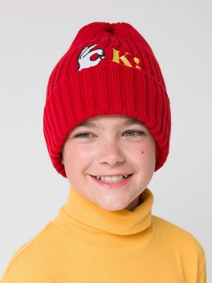 BKQX3295/1 шапка для мальчиков