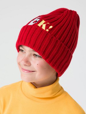 BKQX3295/1 шапка для мальчиков