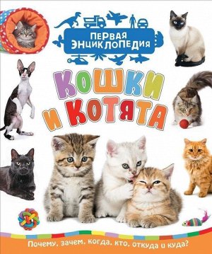 Кошки и котята (Первая энциклопедия) 48стр., 242х205х7мм, Твердый переплет