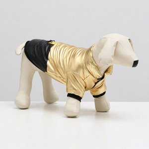 Куртка для собак "Космонавт", размер 10, чёрно-золотая (ДС 25, ОШ 30, ОГ 38 см)