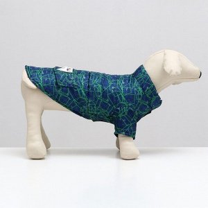 Куртка для собак "Матрица", размер 10, сине-зелёная (ДС 28, ОШ 26, ОГ 34 см)