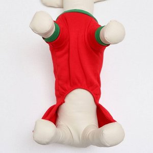 СИМА-ЛЕНД Новогодний костюм &quot;Снегурочка&quot; для собак, размер M, красный (ДС 26, ОШ 30, ОГ 36 см)