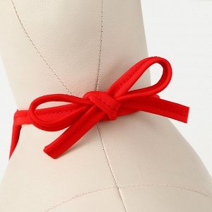 Воротник для животных новогодний "Санта", красный