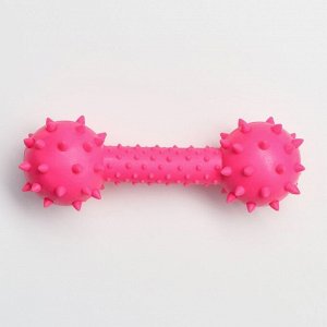 Игрушка жевательная "Грозная гантель", 15 х 5 см, розовая