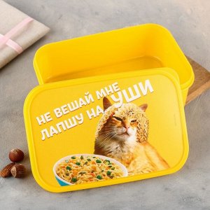 Ланч - бокс прямоугольный «Не вешай лапшу на уши», 1200 мл