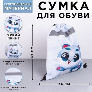 Мешок для обуви со светоотражающим элементом «Котик», размер 41х34 см