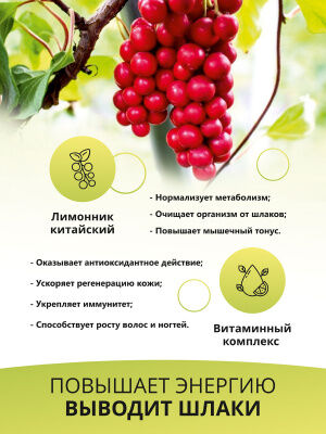 Детокс Слим Эффект + экстракт Лимонника, Вкус Ягодный микс, 32 пор.