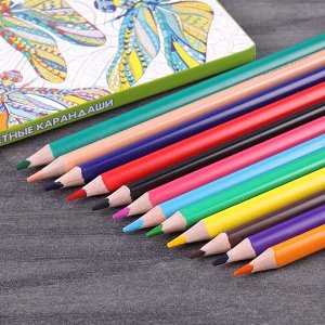 Карандаши цветные 12 цветов ""Darvish"" стираемые с ластиком на каждом карандаше