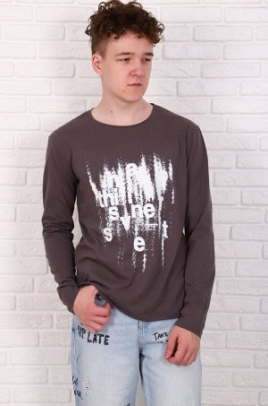 Футболка мужская Вертиго, длин. рукав распродажа (Серый)
