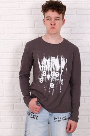 Футболка мужская Вертиго, длин. рукав распродажа (Серый)