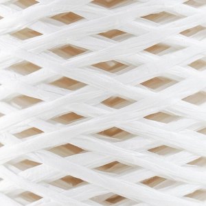 Пряжа для вязания спицами, крючком 100% целлюлоза Softino Raffia Color, ленточная, белая, 200 м ±2 м, 120 г
