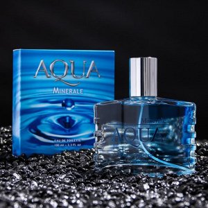 Туалетная вода мужская Aqua Minerale, 100 мл