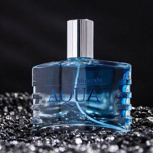 Туалетная вода мужская Aqua Minerale, 100 мл