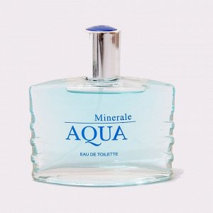 Туалетная вода мужская Aqua Minerale, 100 мл